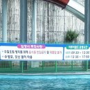 가마미물놀이장 이미지
