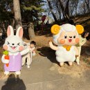 금천농장 2 | 청주랜드 동물원 첫 방문이라면? 알고 가야 할 3가지(주차,맛집,거점동물원)