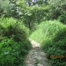 대성암 갈림길 이미지