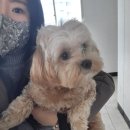 이앤박 이미지