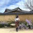 보랏빛민박 | 안동 하회마을 시간 입장료 개미취와 가훈쓰기 체험프로그램