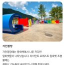 문경 에코랄라(석탄박물관 포함) | [👶🏻아기랑](경북/문경) 대규모 테마파크, 문경 에코월드