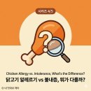 이든덴탈 | [강아지 닭고기 시리즈 4/5] 닭고기 알레르기, 60%의 진실 — 우리 아이 증상 확인부터 검사까지