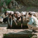 신라환경