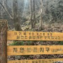 금오산_숲길(등산)1코스 | 금오산 제2코스 (할딱고개) 부부등산⛰️후기