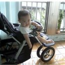 모아베이비 이미지