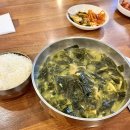 오페라바이오 네이버블로그