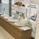 고방동물병원 이미지