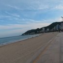 부산 송정 광안리 14km 러닝 코스 추천 바다뷰 오션런 실주행 후기