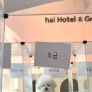반려견토탈케어서비스 휴안 | 토탈 케어 서비스를 받을수 있는 하이 청주 애견 호텔