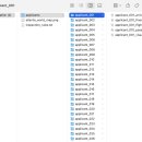 대조-002 | AI_TOP_100 본선 문제 : AI 입국 심사관