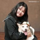 송도멍멍이발소 | 미니펫 #11.] 록키와의 첫 애견동반 촬영 SNS 반려견 동반 촬영 이벤트 후기와 쳇GPT를 사용한 이미지까지!
