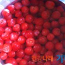 앵두청과 이미지