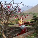 청산얼음펜션 이미지