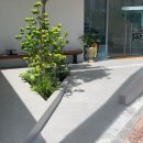오르토커피(ortho coffee) 이미지