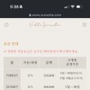 선셋티아