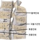 넘버원휘트니스 이미지