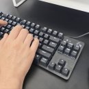 하나SE | 게이밍 키보드 로지텍 G413 SE 실제 사용 후기