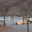 횡성산울림오토캠핑장 이미지