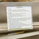 부산 롯데본점 @이세이미야케 바오바오백 실버 후기