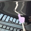 원문로 | [공지] 원주 테슬라 모델3 3M 크리스탈라인 썬팅 후면 하프시공 후기