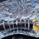 올레 김밥 이미지