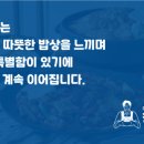 청년찌개제주