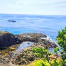 양남주상절리 이미지