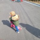 본치즈어리 이미지