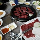 군산 한우농장 이미지