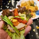 용황애견 이미지