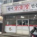 현이양이 이미지