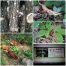 둔일농장 이미지