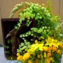 카톨릭대학교 이미지