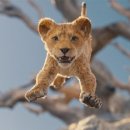 Mufasa The Lion King 네이버블로그