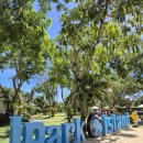 ㈜제이공항렌트카 | 세부막탄 제이파크리조트 체크인 시터 수영장 조식 예약 일정 가족여행 후기 공유