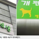 개 편한 세상 이미지
