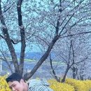 어야둥둥 Daum카페