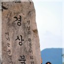 갈마중학교 이미지