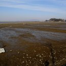 간월도캠핑장 이미지