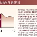 토탈플라워 이미지