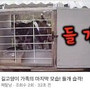 매탈남 업로드했는데 썸넬 뭐지 이미지