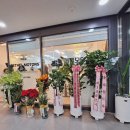 천우자동차매매단지구내식당 | 믿기 어려운 도이치오토월드 중고차 첫 출고!