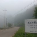 황박 묘 이미지