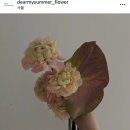 내돈내산) 플디 웨딩 플라워디렉터 추천 디어마이썸머 부케