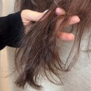 결헤어샵 - 부천시 소사구 | 극손상모발케어, 한남동헤어샵에서 결을 되살린 시술 후기