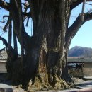 화순동면우체국 이미지