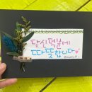 [05/30] 캘리그라피 취미반 | ☕ 앨리스공방 로지캘리-한국예술캘리그라피협회 구미지회 기념