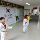 용인대용전태권도 이미지
