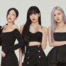 로제컴퍼니